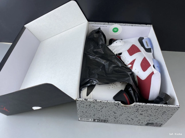 RETRO 6 JORDAN 2014 384664-160 'CARMINE' AIR 0813